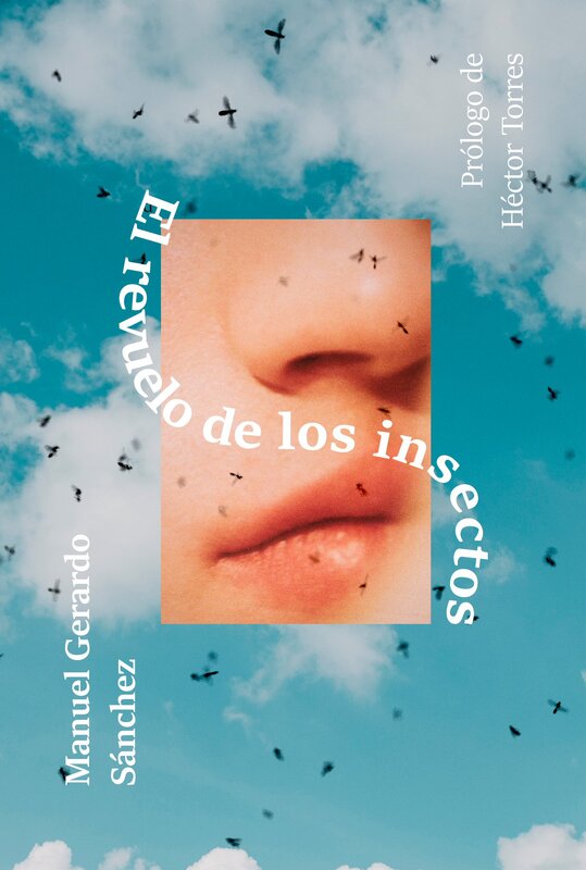 sanchez_elrevuelodelosinsectos.jpeg