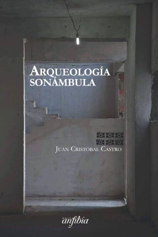 castro_arqueologiasonambula.jpg
