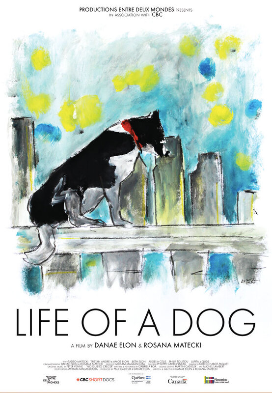 lifeofadog_matecki_01.jpg