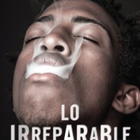<em><strong>Lo irreparable</strong></em>