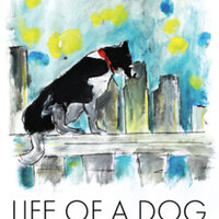 lifeofadog_matecki_01.jpg