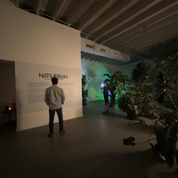 <em><strong>NatuUrban - A subnatural symphony of Miami</strong></em>